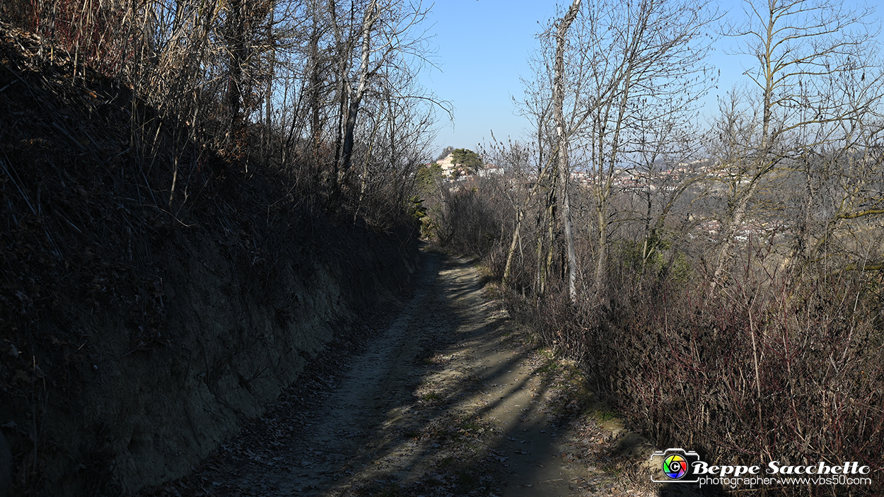 VBS_0700 - Madonna dei Boschi - Vezza d'Alba.jpg